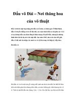 Đấu võ Đài – Nơi thăng hoa của võ thuật doc