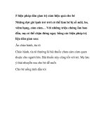 5 biện pháp dân gian trị cúm hiệu quả cho bé potx