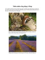 Thiên nhiên sống động ở Pháp ppt