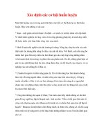 huấn luyện và truyền kinh nghiệm - Xác định các cơ hội huấn luyện potx