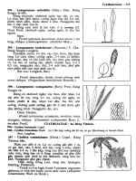 Cây cỏ Việt Nam tập 1 part 2 doc