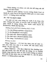 Kỹ thuật nuôi dạy và phòng chữa bệnh chó part 7 pps