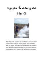Nguyên tắc 4 đúng khi bón vôi pdf