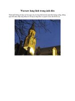 Warsaw lung linh trong ánh đèn docx