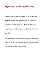 Một số bài thuốc từ phèn chua docx