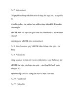 quá trình hình thành và phương pháp điều trị bệnh viêm đa dây thần kinh trong y học p2 potx