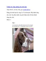 Chăm sóc răng miệng cho chó mèo ppt