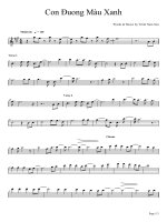 Bản nhạc Con đường màu xanh ppt