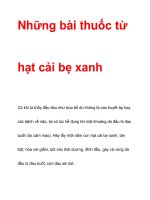 Những bài thuốc từ hạt cải bẹ xanh docx