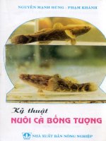 Kỹ thuật nuôi cá bống tượng part 1 ppsx