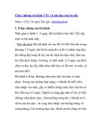 Chú ý phòng trị bệnh VTC và âm đạo cho bò sữa potx