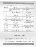 Giáo trình công nghệ chăn nuôi part 8 pptx