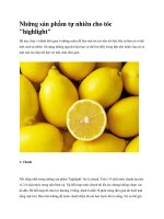 Những sản phẩm tự nhiên cho tóc highlight doc