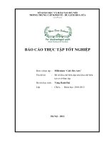 LVTN Bố trí khu chế biến dựa trên khu chế biến tại Millenium “Cafe Des Arts”