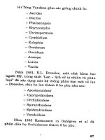 Hoa Lan nuôi trồng và kinh doanh part 4 potx