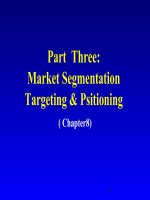 Market SegmentationTargeting & Psitioning docx