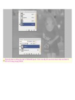 Hướng dẫn photoshop tổng hợp trong một bài phần 2 pot