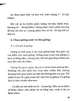 Kỹ thuật nuôi cá bống tượng part 4 pps