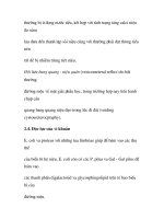 quá trình hình thành và phương pháp điều trị bệnh nhiễm trùng tiết niệu trong y học p4 pdf