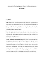 GÓP PHẦN MÔ TẢ GIẢI PHẪU GÂN CƠ CHÂN NGỖNG LÀM MẢNH GHÉPTÓM TẮT Đặt vấn pptx