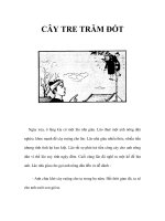 CÂY TRE TRĂM ĐỐT ppt