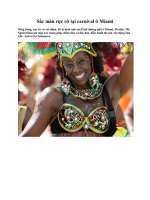 Sắc màu rực rỡ tại carnival ở Miami ppt