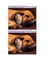 Tạo viền cho ảnh ppsx