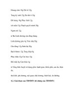 quá trình hình thành và phương pháp điều trị bệnh tai biến mạch máu não trong y học p6 doc