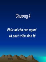KINH TẾ PHÁT TRIỂN - Bài giảng chương 4 ppt