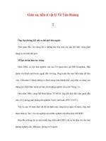 Giáo sư, tiến sĩ vật lý Võ Văn Hoàng 2 pot