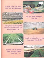Công nghệ mới trồng hoa cho thu nhập cao - Quyển 1 part 8 pps