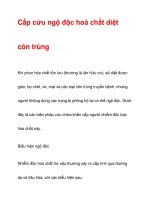 Cấp cứu ngộ độc hoá chất diệt côn trùng doc