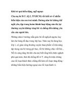 Khi trẻ quá hiếu động, ngỗ ngược potx