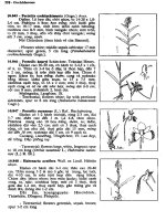 Cây cỏ Việt Nam tập 3 part 8 pptx