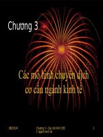 KINH TẾ PHÁT TRIỂN - Bài giảng chương 3 potx