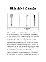 Binh khí võ cổ truyền docx