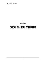 ĐỒ ÁN TỐT NGHIỆP KỸ SƯ CẦU THIẾT KẾ VÀ TÍNH TOÁN CẦU VÒM ỐNG THÉP NHỒI BÊ TÔNG