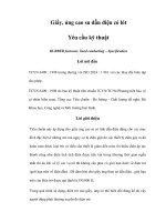 Giầy, ủng cao su dẫn điện có lót Yêu cầu kỹ thuật - 1 potx