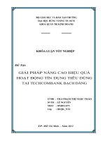 giải pháp nâng cao hiệu quả hoạt động tín dụng tiêu dùng tại ngân hàng techcombank chi nhánh bạch đằng