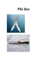 Phi đao docx