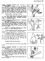 Cây cỏ Việt Nam tập 3 part 9 doc