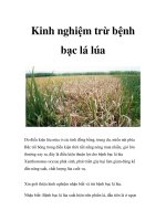 Kinh nghiệm trừ bệnh bạc lá lúa docx