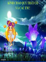 BÀI 19: SỰ PHÂN BỐ SINH VẬT VÀ ĐẤT TRÊN TRÁI ĐẤT pdf