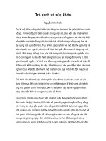 Trà xanh và sức khỏe pot