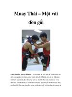 Muay Thái – Một vài đòn gối ppsx