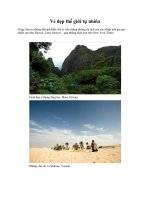 Vẻ đẹp thế giới tự nhiên pps