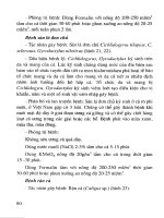Kỹ thuật sản xuất giống và nuôi cá rô phi part 7 pdf