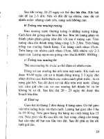 Kỹ thuật trồng rau ăn lá, rau ăn hoa, rau gia vị part 3 pdf