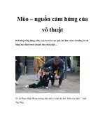 Mèo – nguồn cảm hứng của võ thuật docx