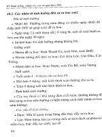 KĨ THUẬT TRỒNG, CHĂM SÓC CÂY ĂN QUẢ THEO ISO - CÂY XOÀI part 5 doc